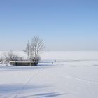 Steinhuder Meer im Schnee