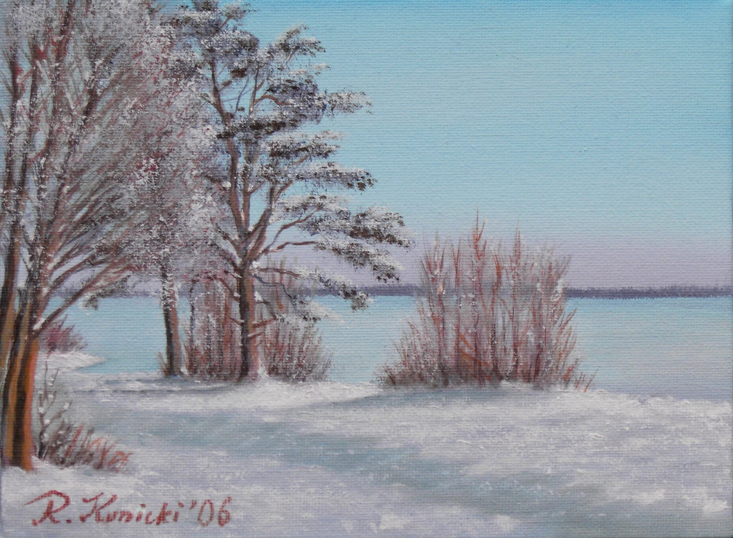 Steinhuder Meer im Winter