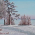 Steinhuder Meer im Winter