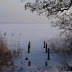 Steinhuder Meer im Winter 3