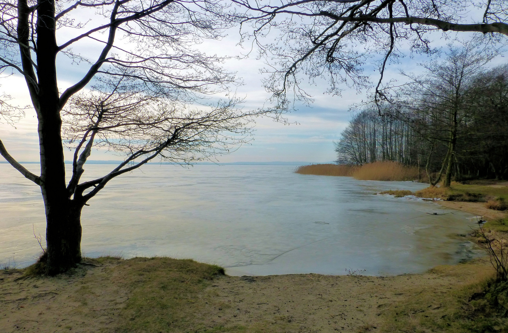 Steinhuder Meer im Winterschlaf 2