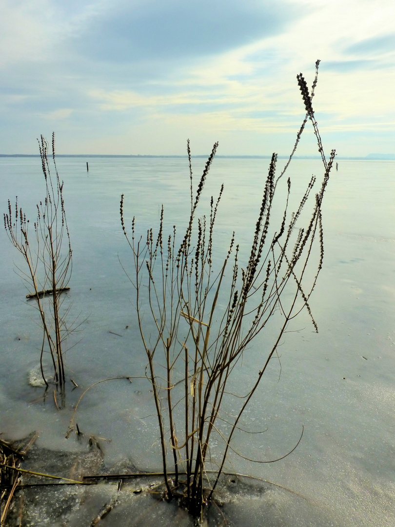 Steinhuder Meer im Winterschlaf 4