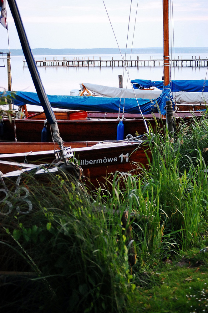 Steinhuder Meer morgens