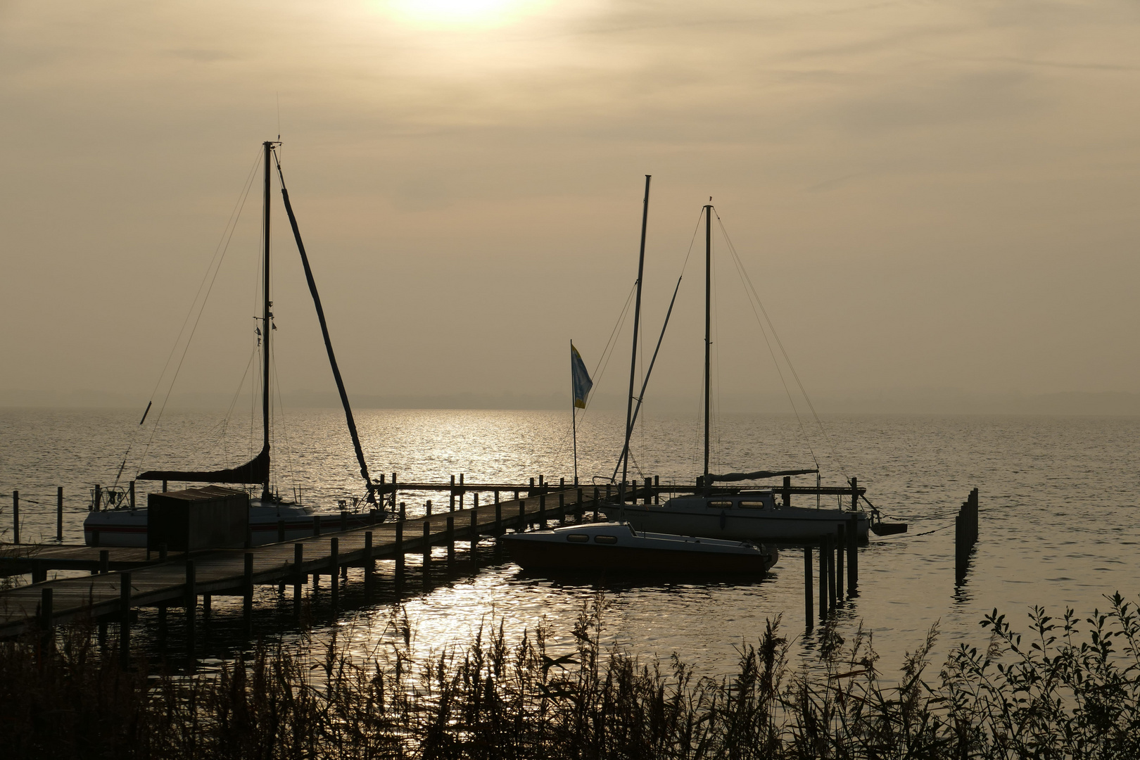 Steinhuder Meer Morgenstimmung 