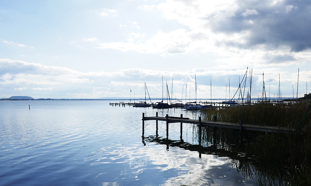 Steinhuder Meer (Nordufer)