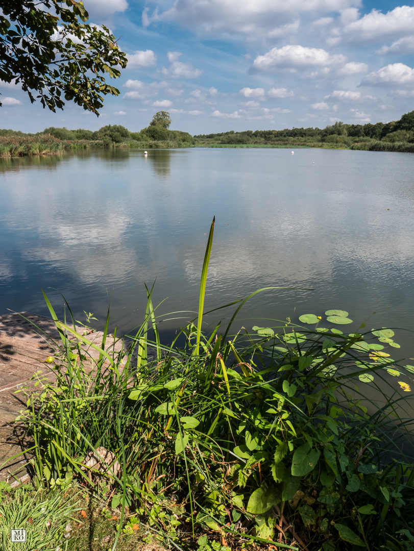 Steinhuder Meer - Ostenmeer