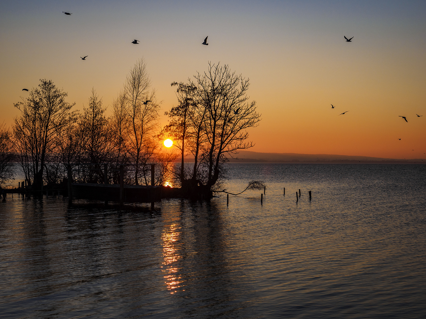 Steinhuder Meer Sonnenuntergang vor 3 Tagen