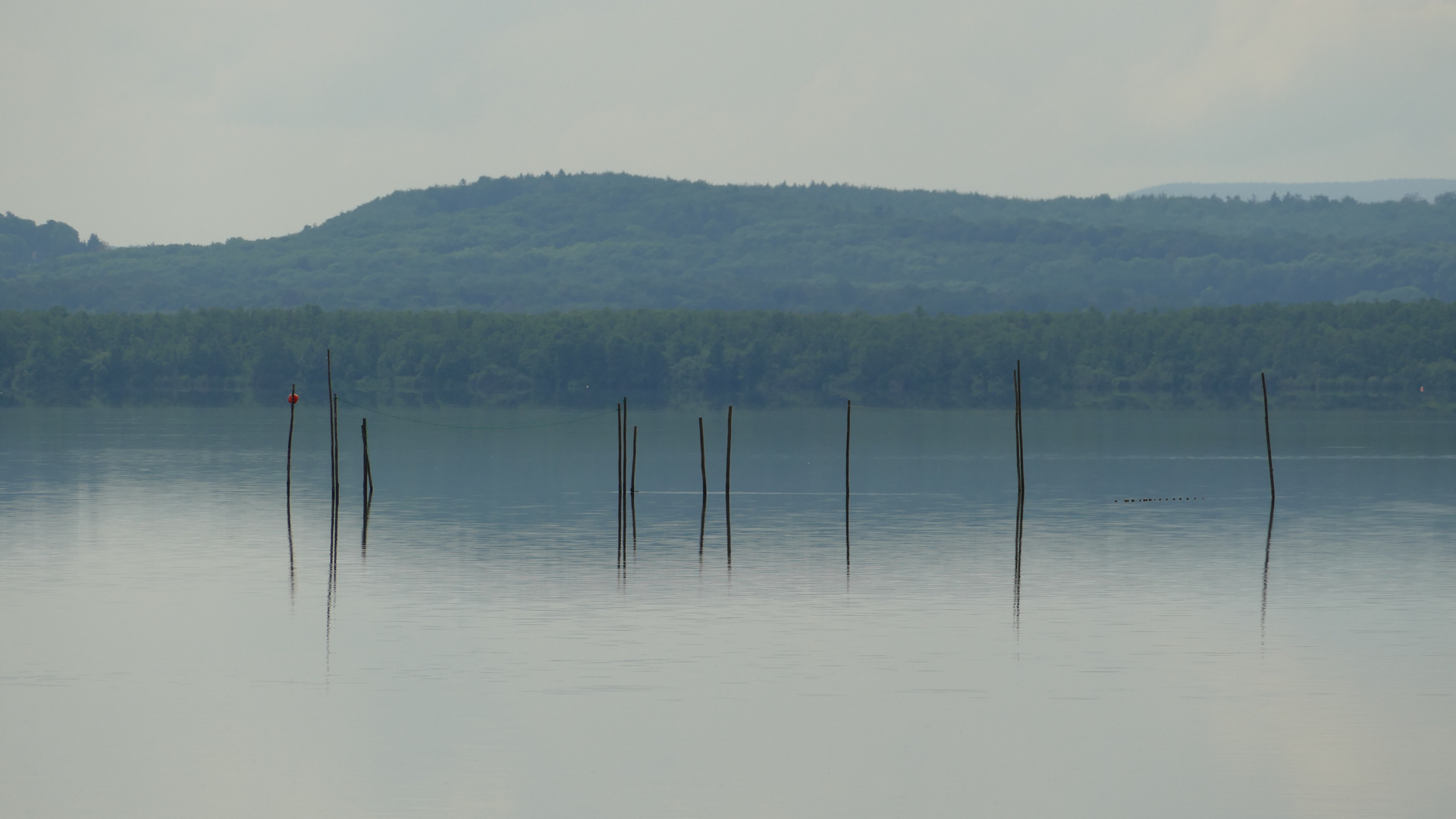 Steinhuder meer spiegelglatt