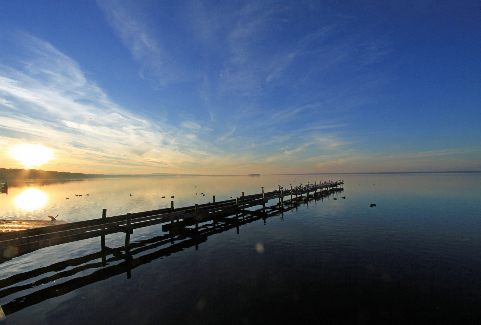 Steinhuder Meer Steg