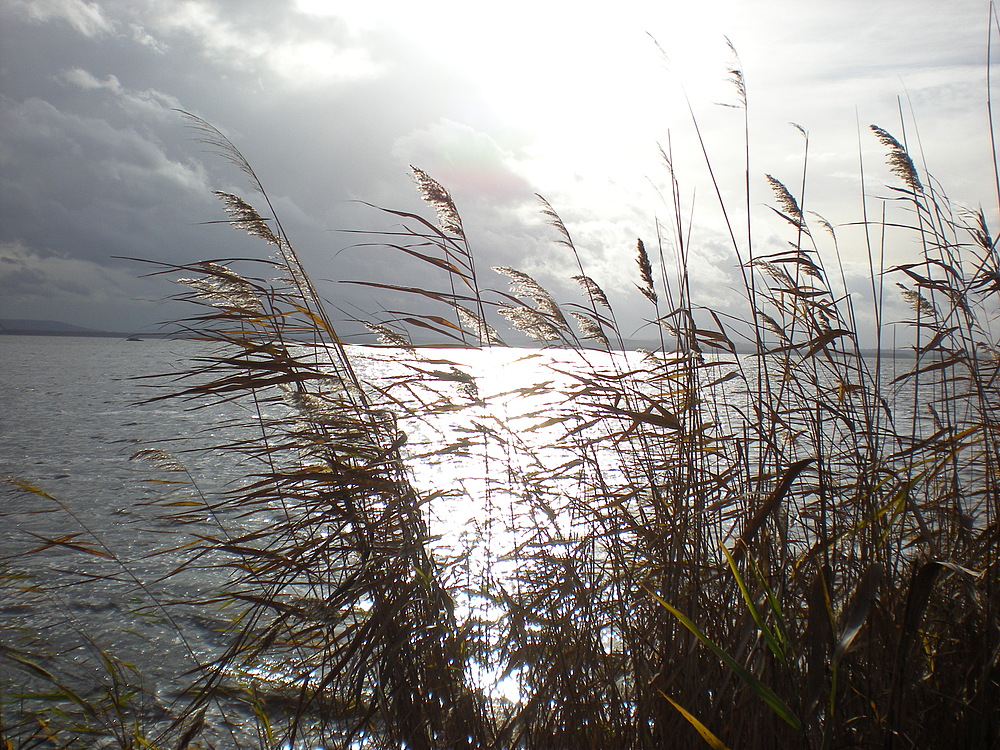 Steinhuder Meer (Teil 2)