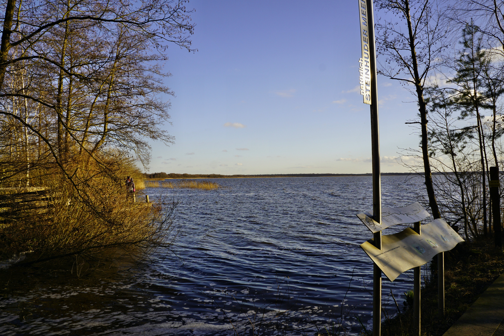 Steinhuder Meer Uferblick