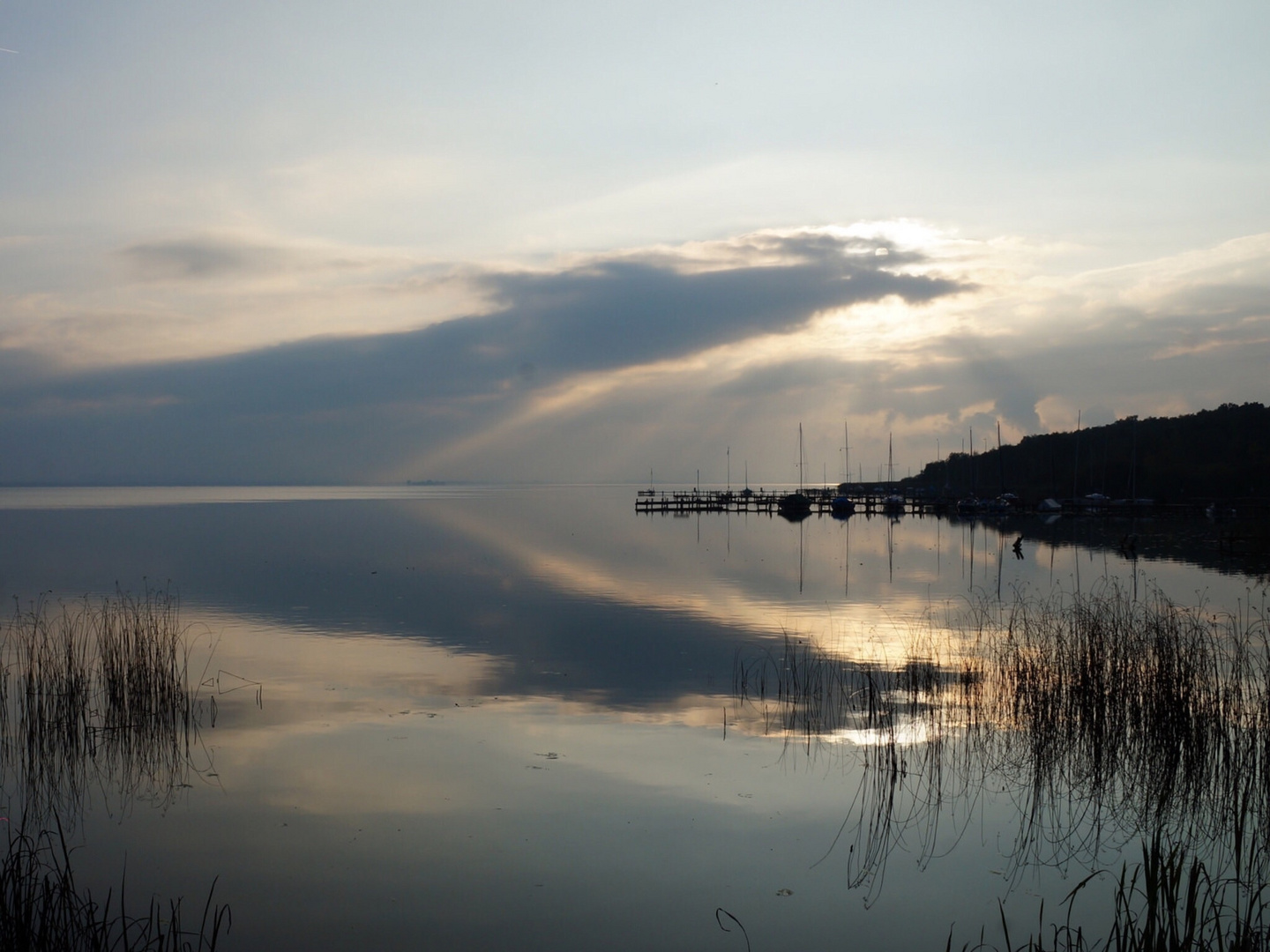 Steinhuder Meer Ungeheuer