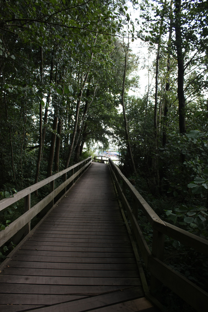 Steinhuder Meer Weg