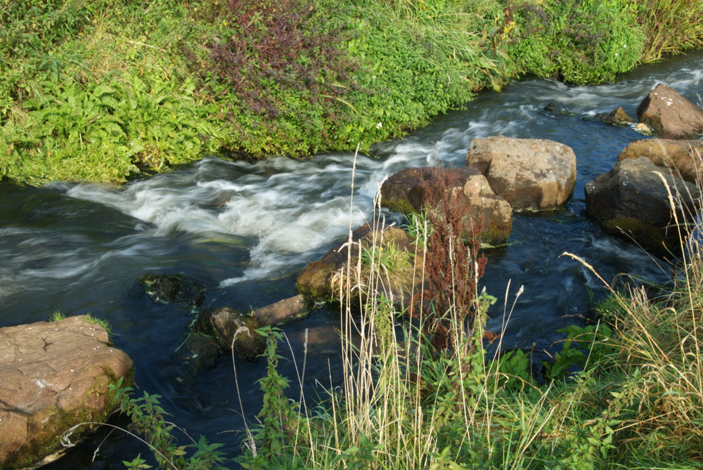 Steinhuder Meerbach