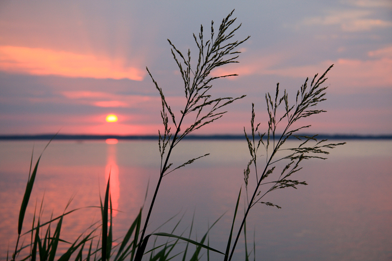 Steinhuder Meerblick