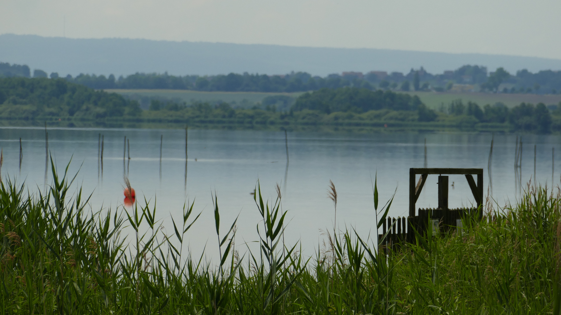 Steinhuder Meer/Niedersachsen 