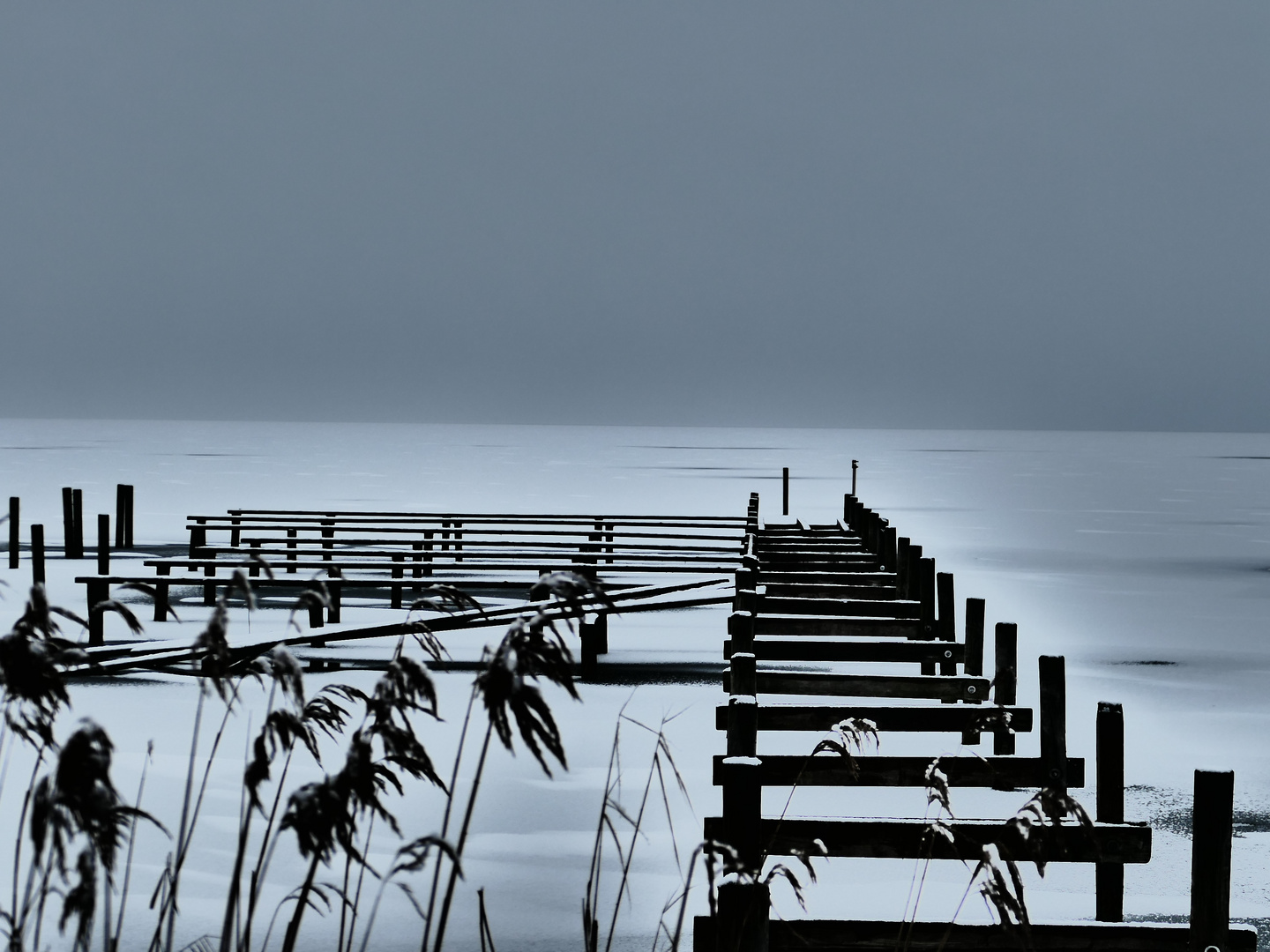 Steinhuder Meer/Niedersachsen 