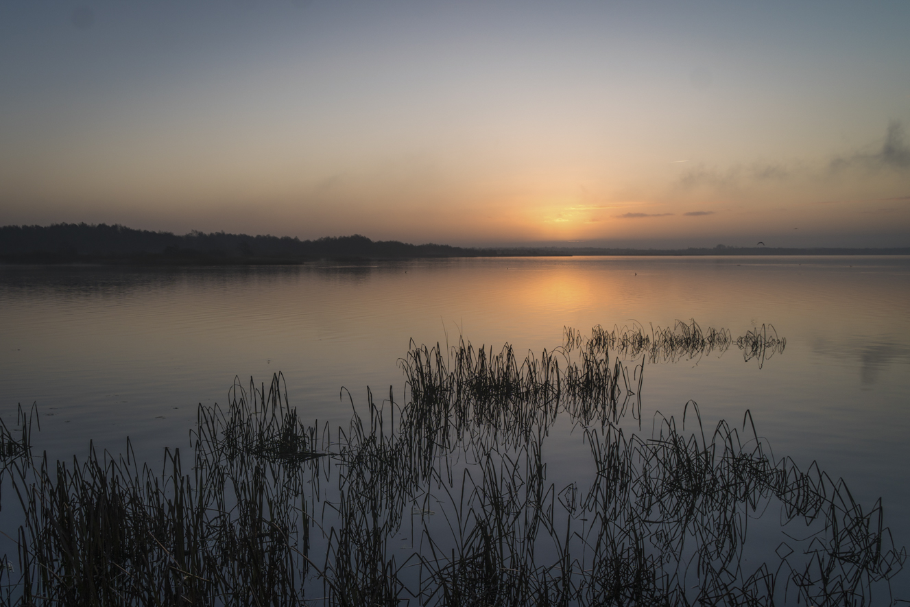 Steinhuder_Meer_Sonnenaufgang