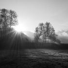 Steinibachried am Morgen bei Sonnenaufgang