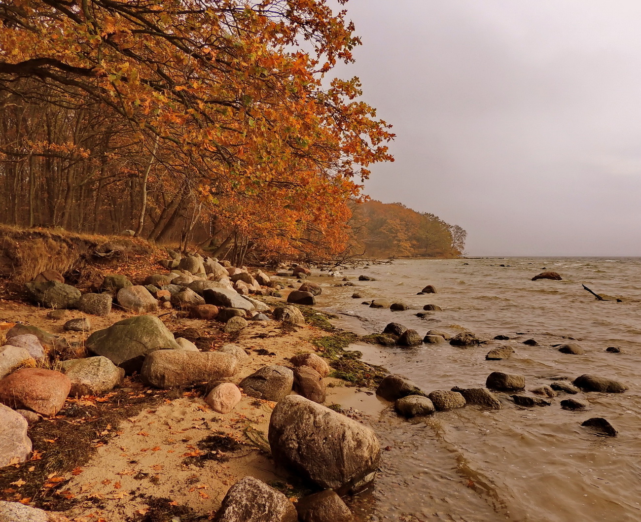 Steinig Foto & Bild | landschaft, rügen, wald Bilder auf fotocommunity