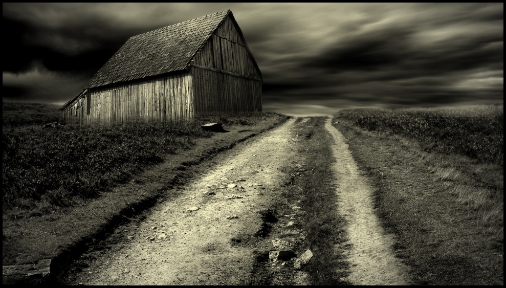 steinig... von Veronika Pinke 