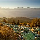 Steinig ist der Weg zur Sonne