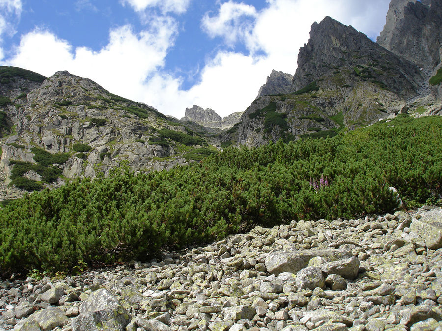 steinig und hart