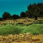 Steinige Landschaft...Maroko.k-DSC_1530