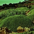Steinige Landschaft...Maroko.k-DSC_1531