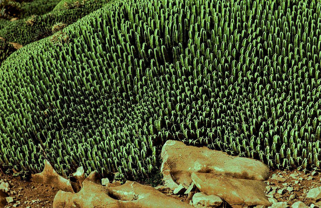 Steinige Landschaft...Maroko.......k-DSC_1534