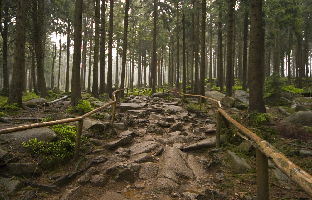 Steinige Stiege - magische Pfade dem Gipfel entgegen, den Regen erleben.