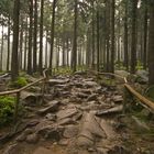 Steinige Stiege - magische Pfade dem Gipfel entgegen, den Regen erleben.