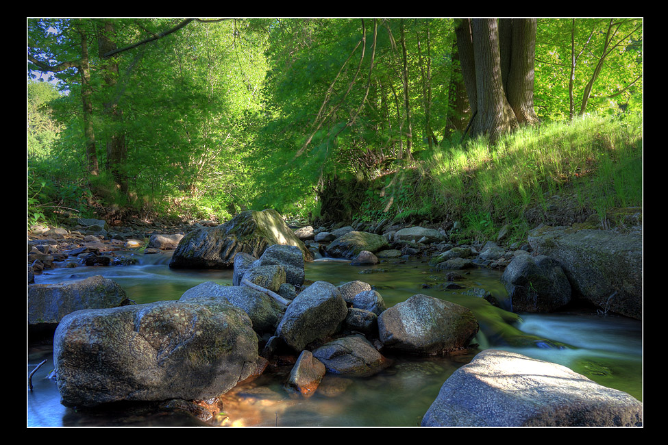 Steiniger Bach