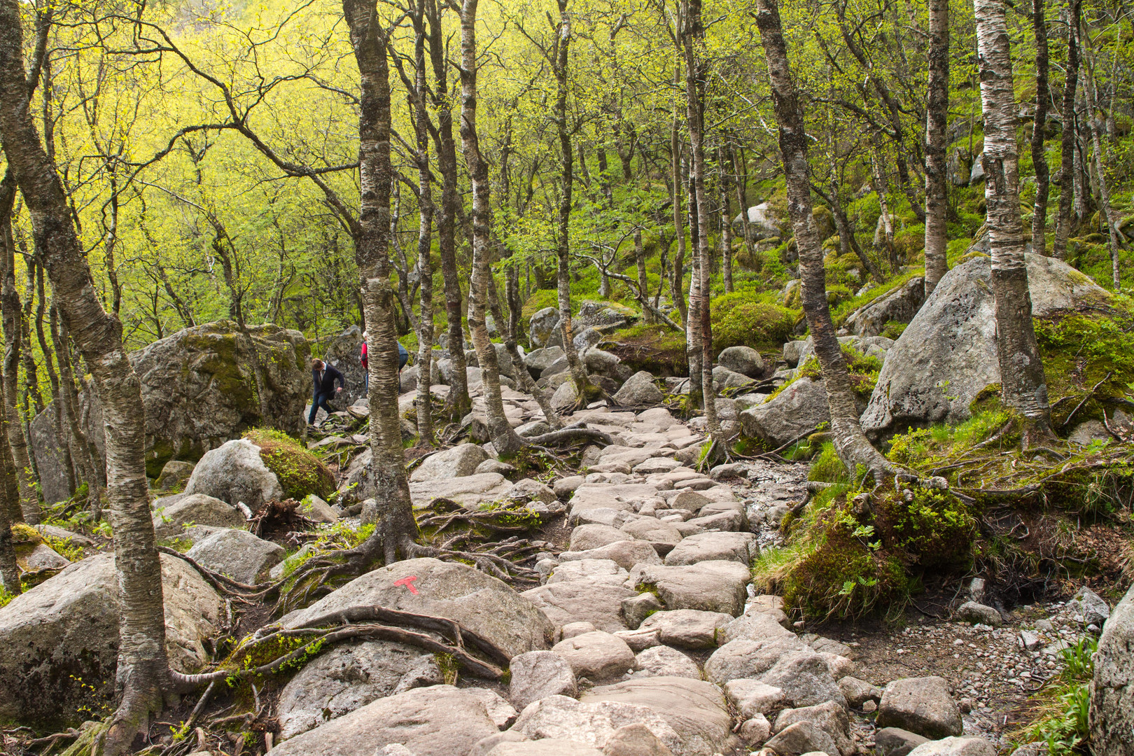 Steiniger Weg