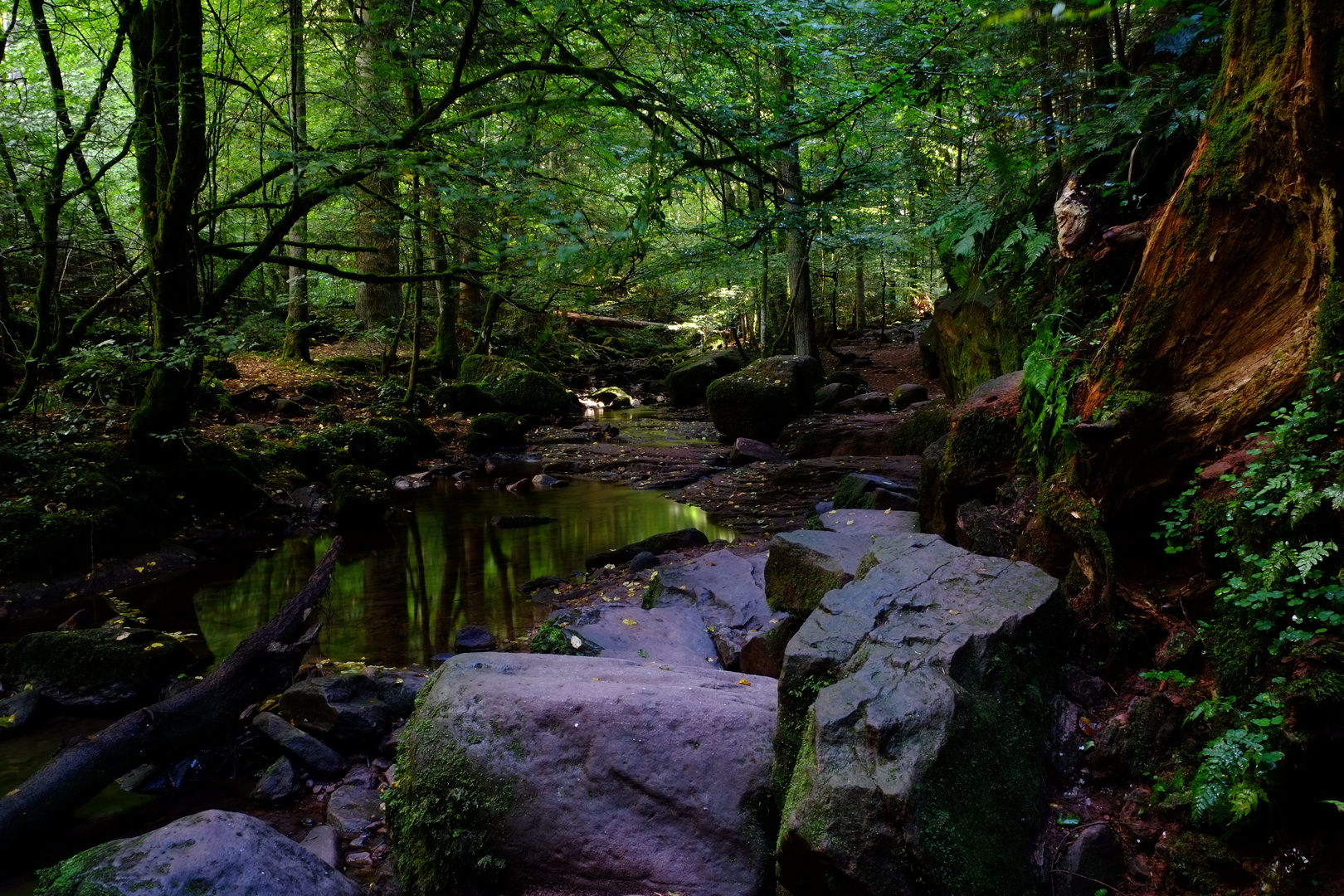 Steiniger Weg am Bach