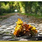 Steiniger Weg ans Licht