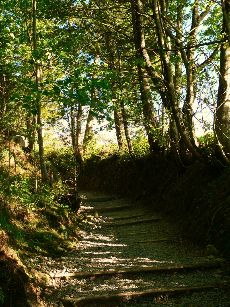 steiniger Weg