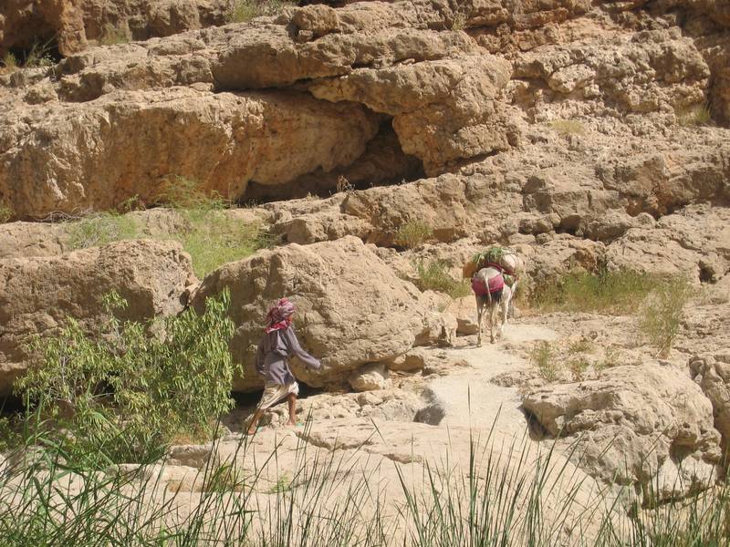 Steiniger Weg durchs Wadi