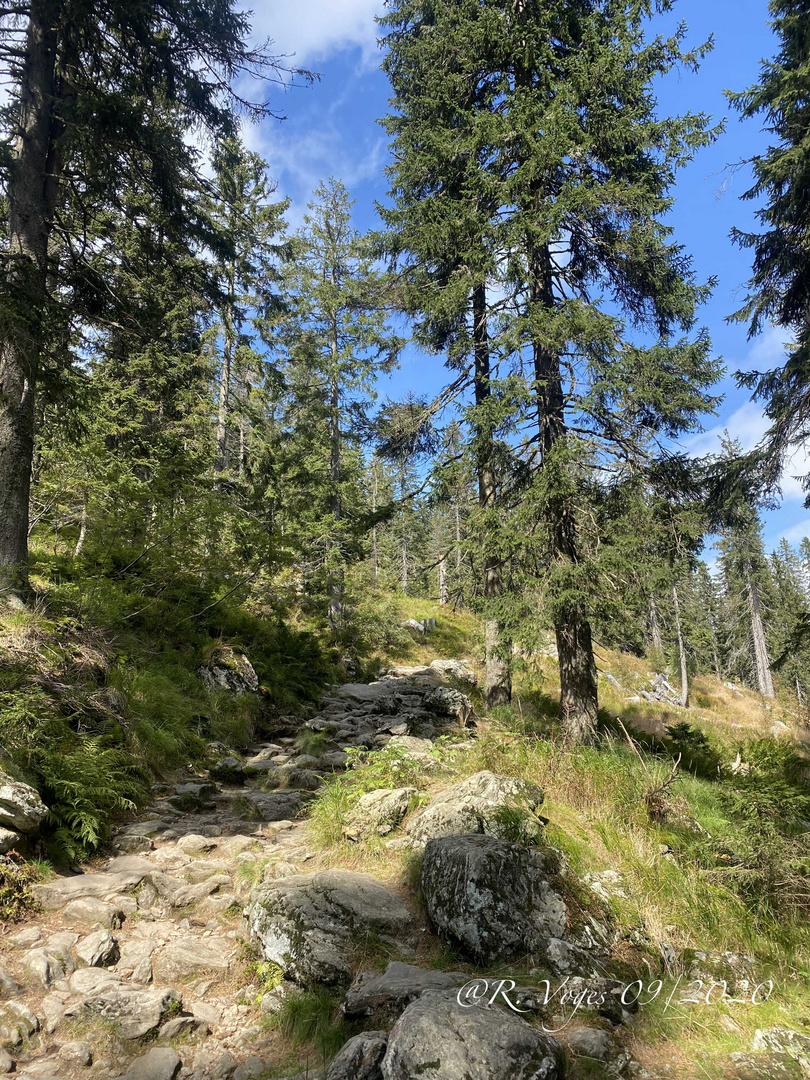 Steiniger Weg hoch zum Arber