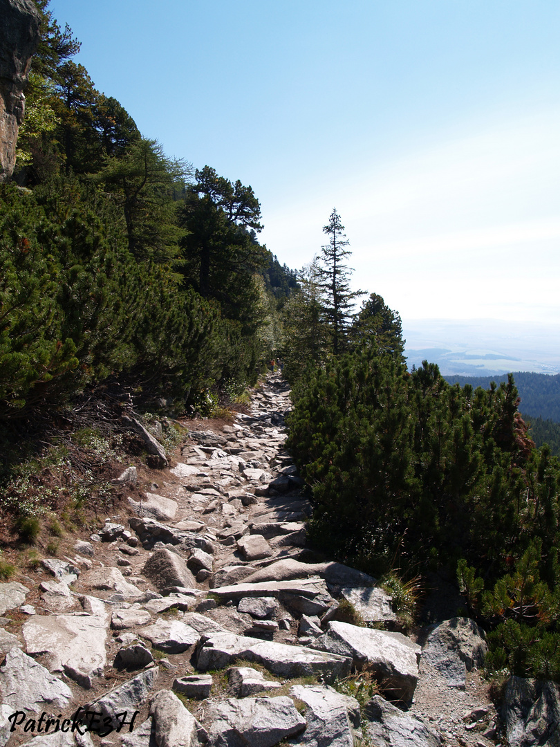 Steiniger Weg nach oben