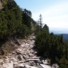 Steiniger Weg nach oben