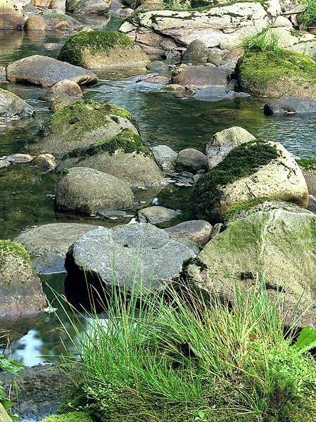 Steiniges Flussbett