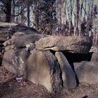 Steinkistengrab aus Oberzeuzheim