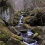 Steinklamm im Bayerischen Wald von Maximilian Dorsch