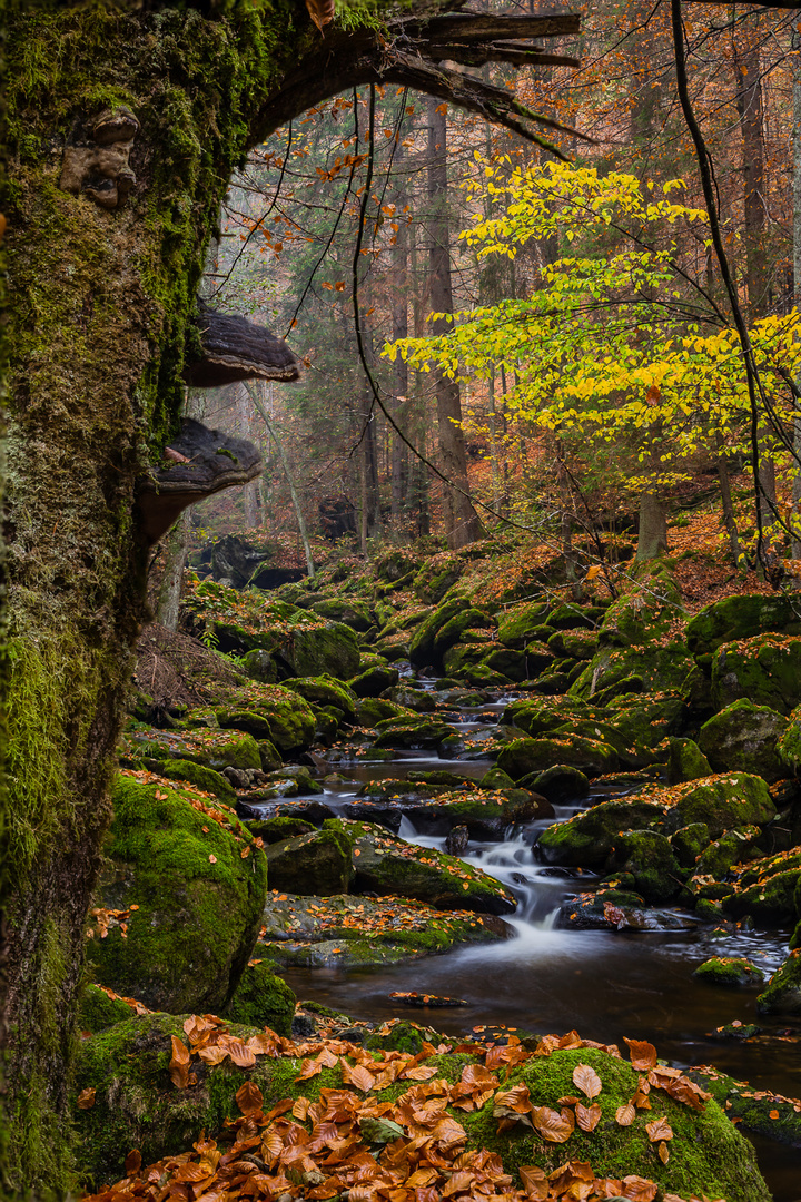 Steinklamm im Bayerischen Wald