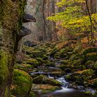 Steinklamm im Bayerischen Wald