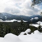 Steinkogelblick auf die Hochreith Almen