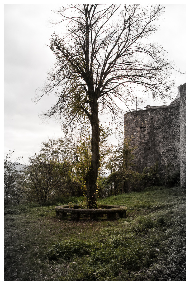 Steinkreis am eine Burg