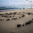 Steinkreis an der Ostsee