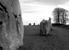 Steinkreis von Avebury 2